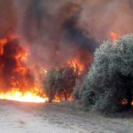 incendio-forestal-la-rioja