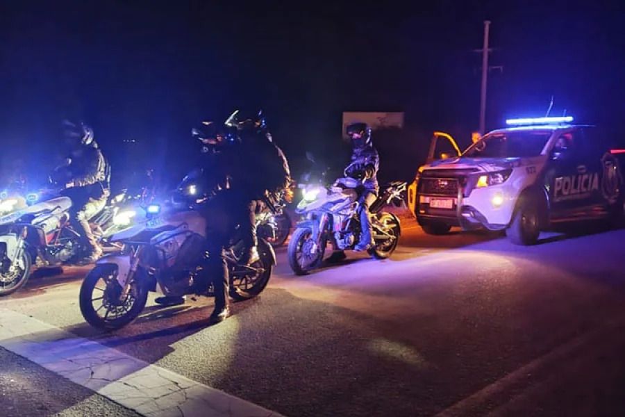 policiales